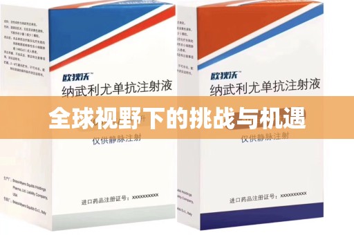 济宁全球视野下的挑战与机遇