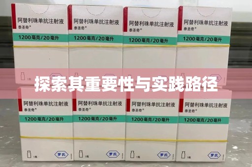 济宁探索其重要性与实践路径