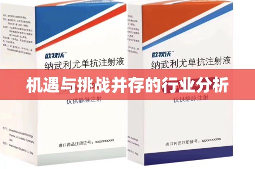 济宁机遇与挑战并存的行业分析