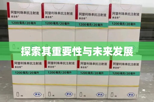 济宁探索其重要性与未来发展