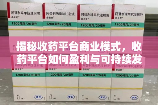 济宁揭秘收药平台商业模式，收药平台如何盈利与可持续发展之路