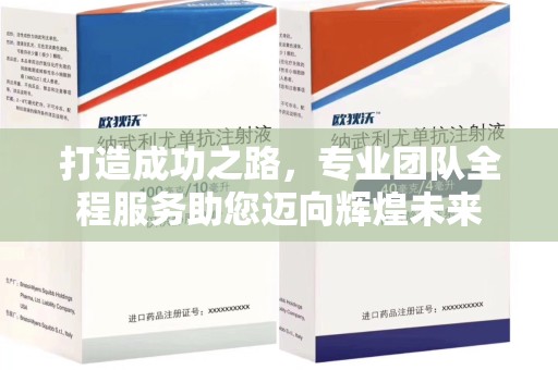 济宁打造成功之路，专业团队全程服务助您迈向辉煌未来