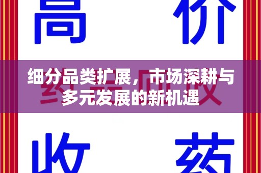 济宁细分品类扩展，市场深耕与多元发展的新机遇