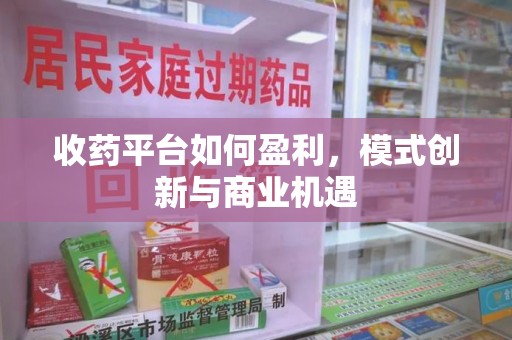 济宁收药平台如何盈利，模式创新与商业机遇