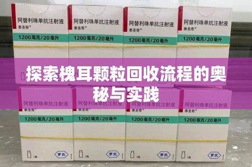 济宁探索槐耳颗粒回收流程的奥秘与实践