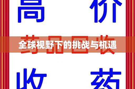 济宁全球视野下的挑战与机遇