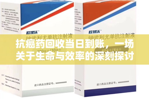 济宁抗癌药回收当日到账，一场关于生命与效率的深刻探讨